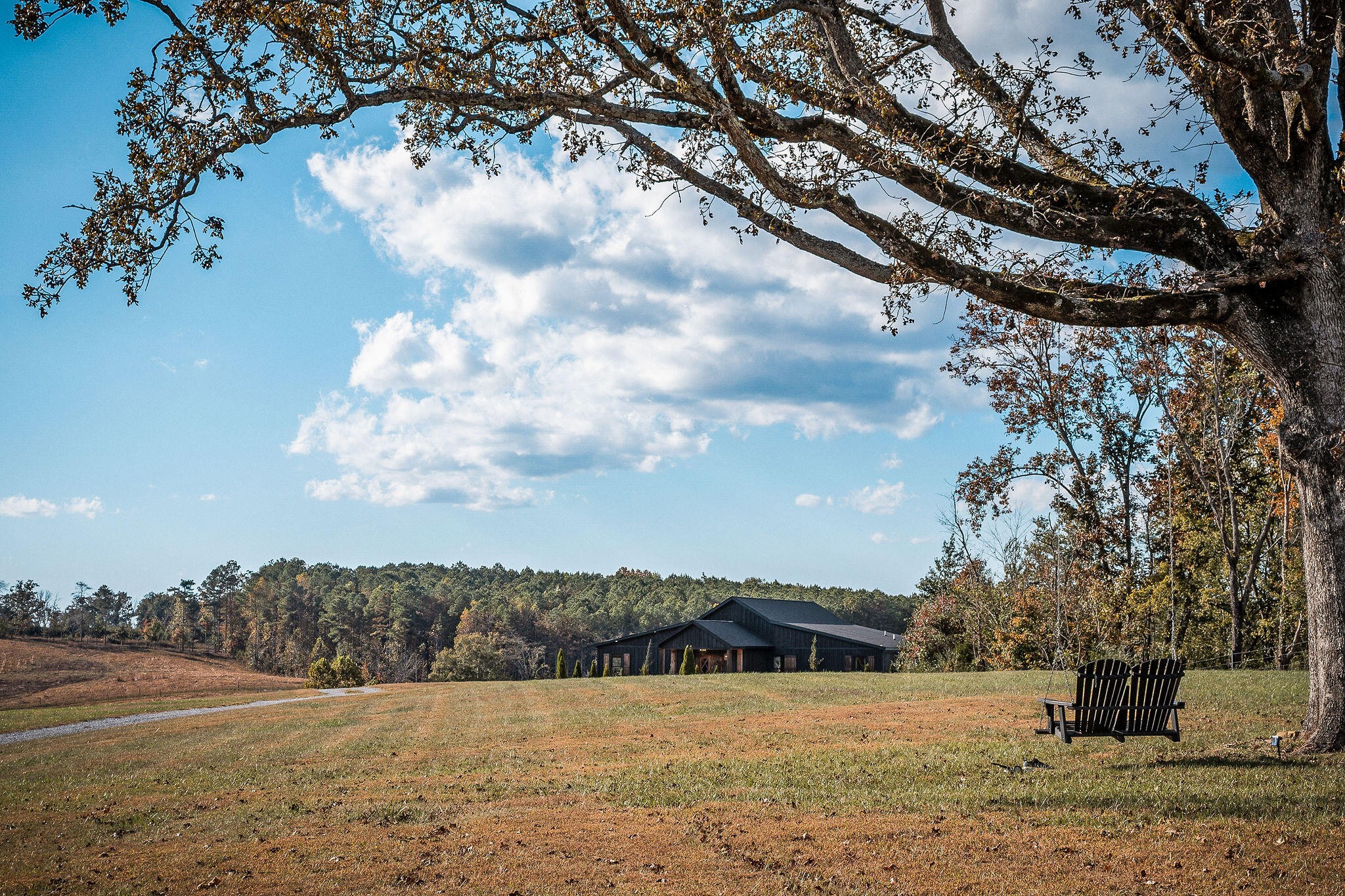 1656 Dibrell-Lucky Road McMinnville, TN 37110 - Photo 48 of 62 a view of a yard with a house