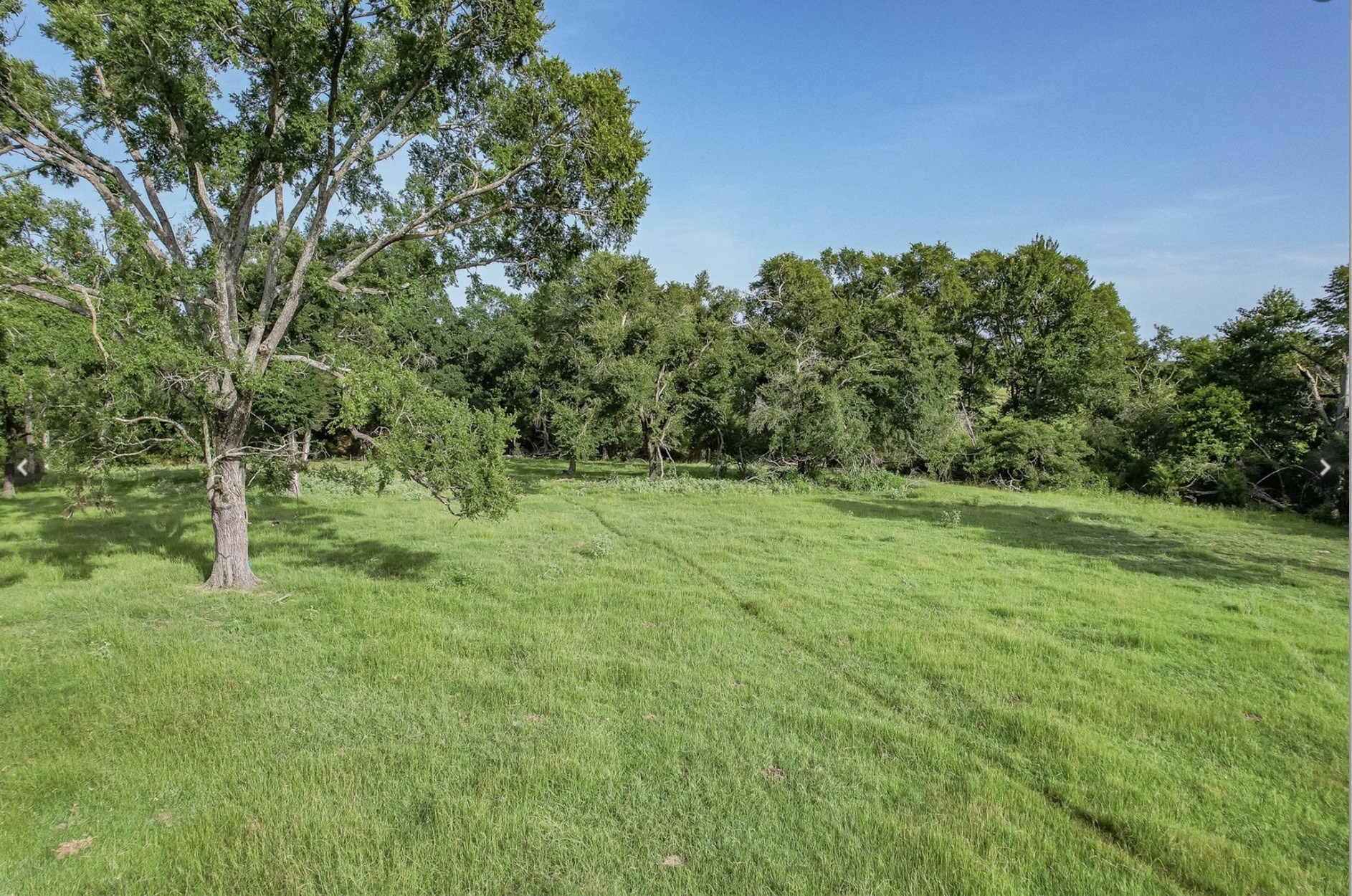 6388 Red Rock Road Franklin, TX 77856 - Photo 5 of 6 a big yard with lots of green space and house in the back