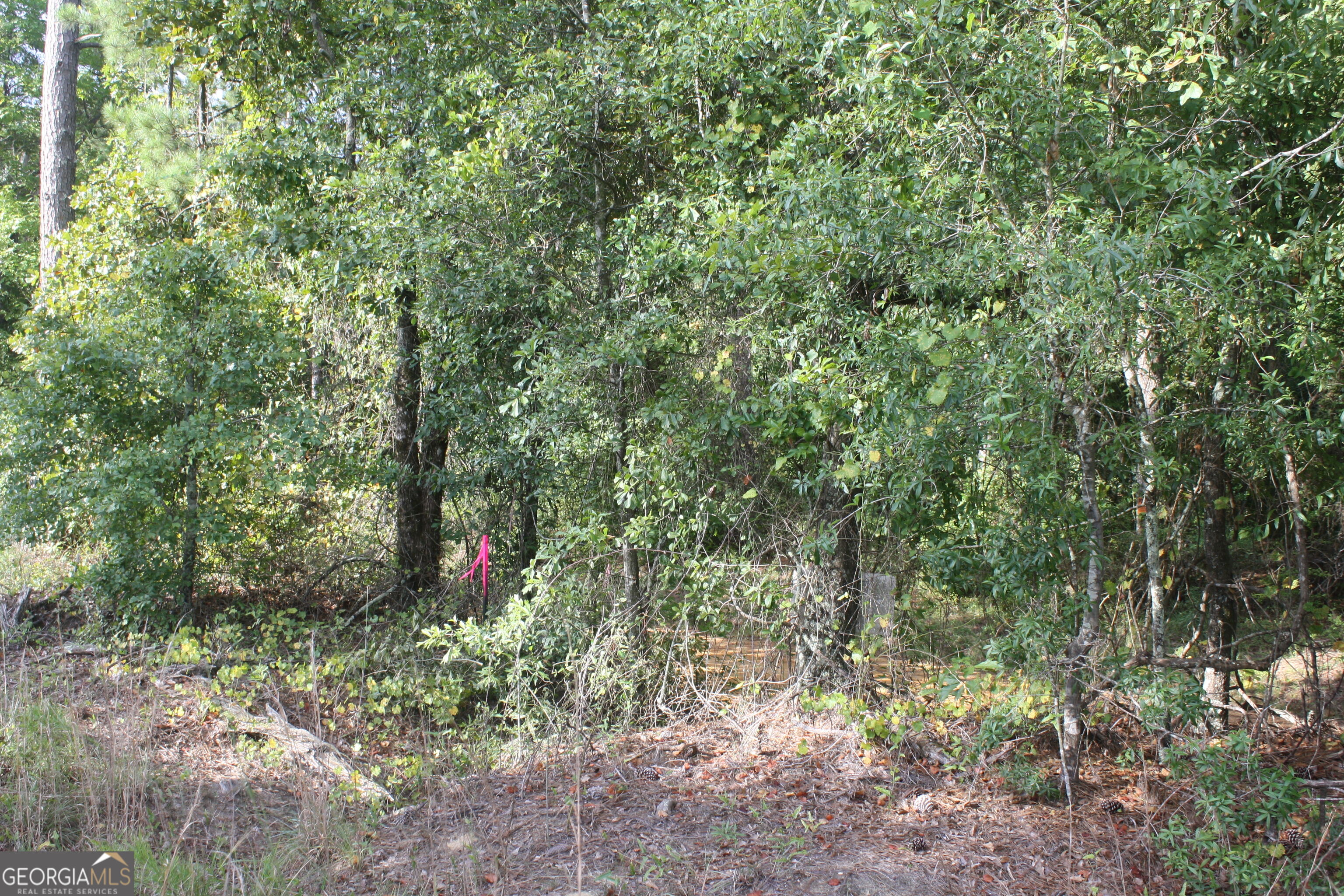 0 Balerma Church Road, Unit TRACT 2 Sparta, GA 31087 - Photo 10 of 19 Gallery Image 10