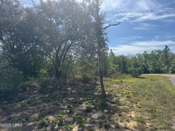 $14,500 | 0 Patroon Place, Chipley, FL 32428