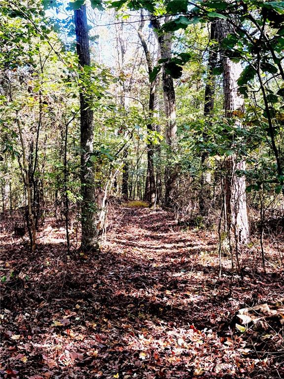 681 Mullinax Road Jasper, GA 30143 - Photo 30 of 36