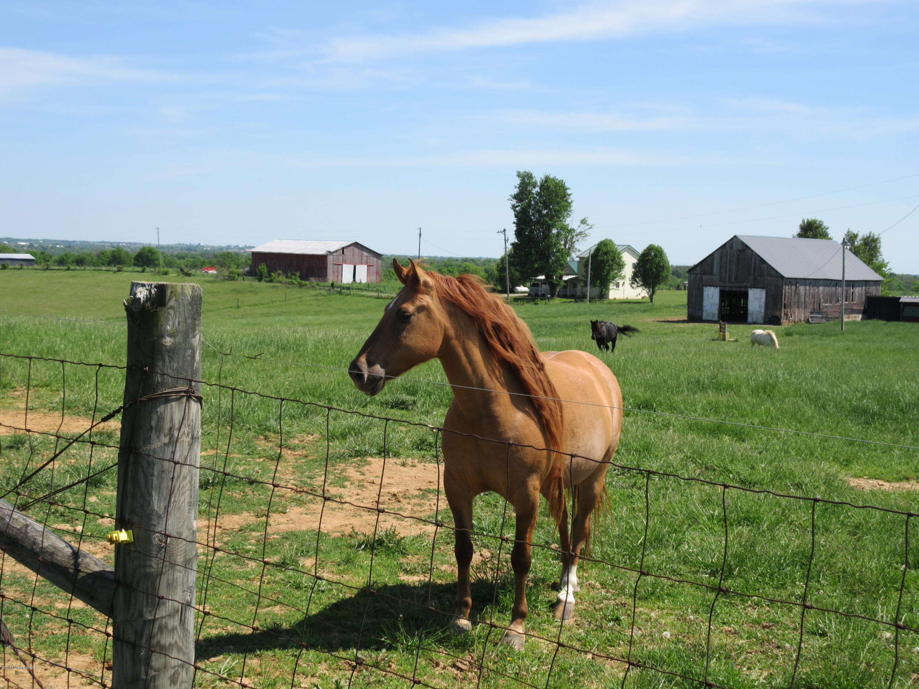 1042 Ransdell Road Turners Station, KY 40075 - Photo 24 of 26 25