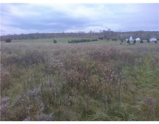 5092 Farrell Road Dexter, MI 48130 - Photo 5 of 7 Photo 5