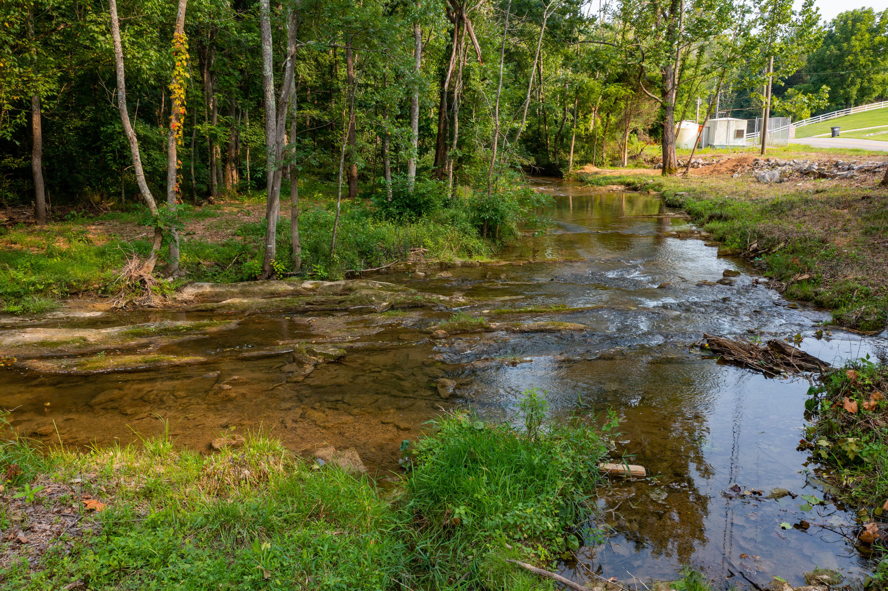 225 Old Mill Road Kingsport, TN 37617 - Photo 4 of 20 Fall Creek-9