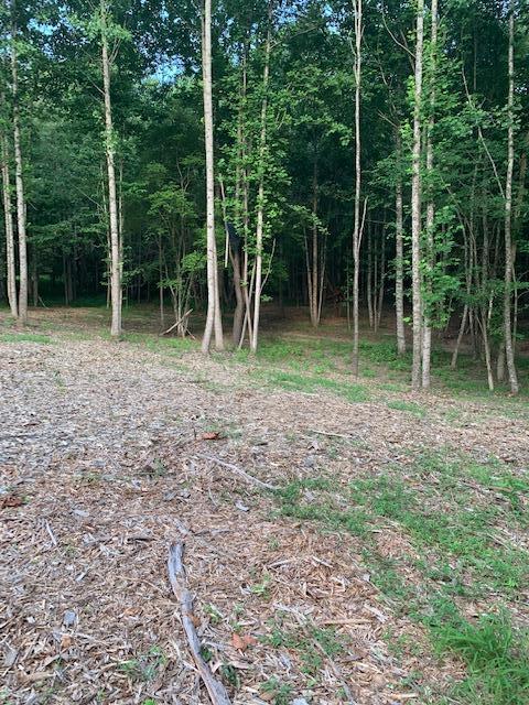 225 Old Mill Road Kingsport, TN 37617 - Photo 10 of 20 IMG_7248
