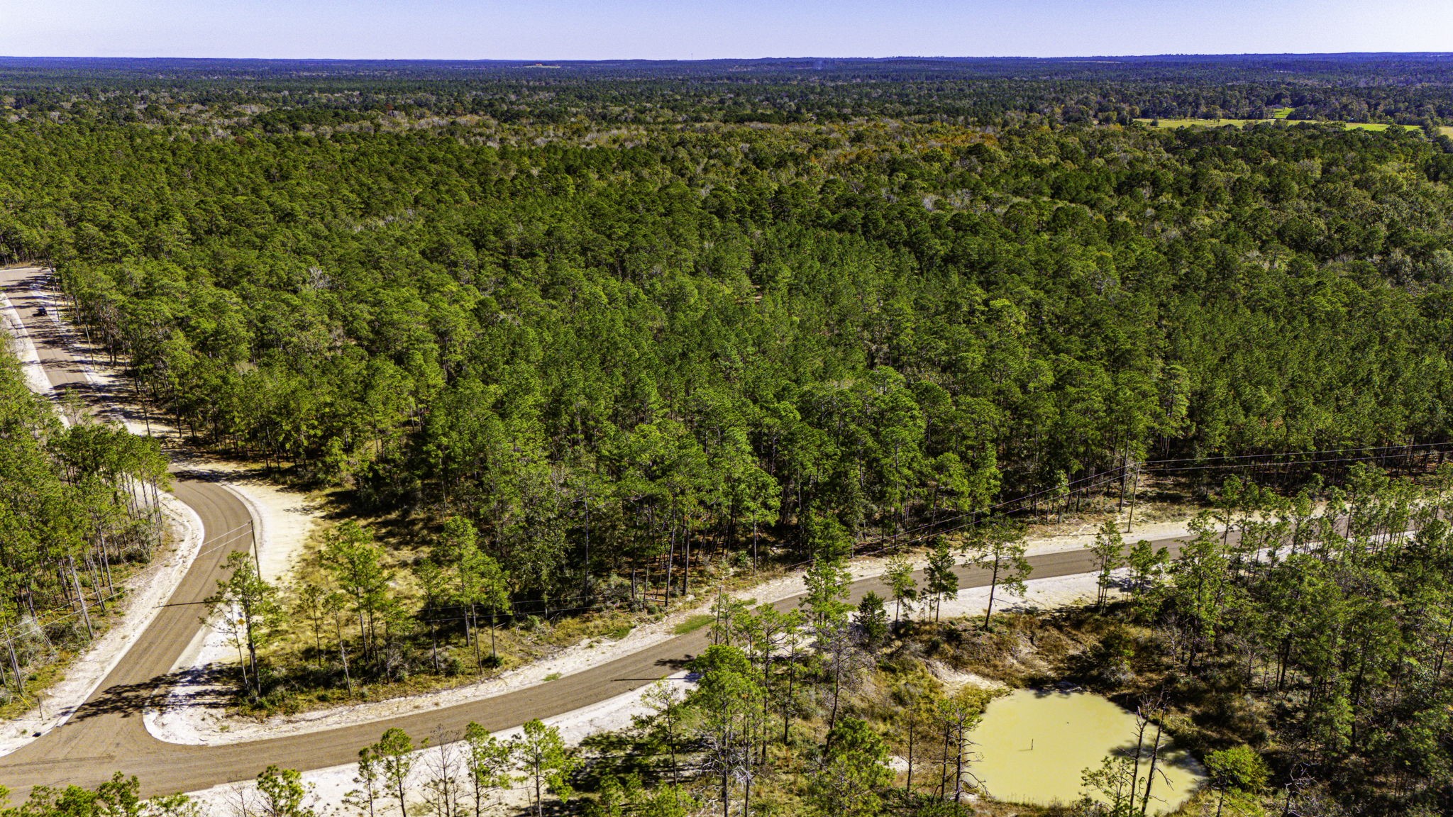 33 King Ranch Road Road Onalaska, TX 77360 - Photo 11 of 16 a view of a large body of water with a large tree
