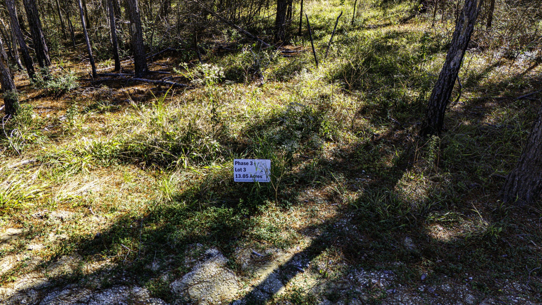 33 King Ranch Road Road Onalaska, TX 77360 - Photo 6 of 16