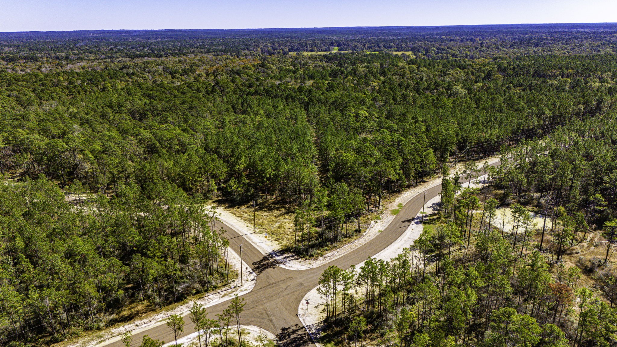 33 King Ranch Road Road Onalaska, TX 77360 - Photo 9 of 16 a view of a lush green forest with lots of trees