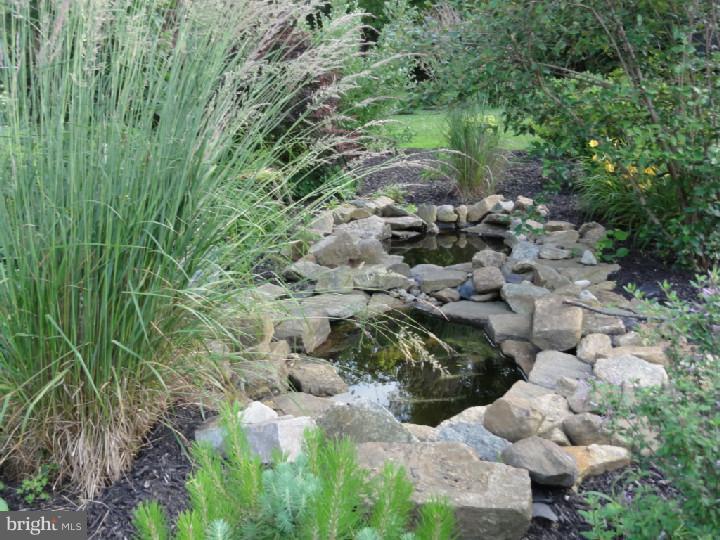 114 Coldstream Road Phoenixville, PA 19460 - Photo 22 of 24 Lake / Pond