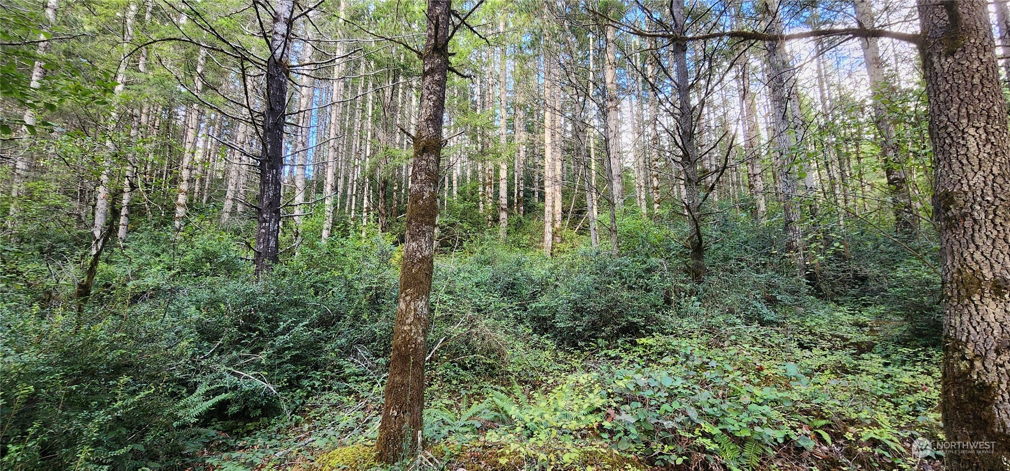 1400 East Jensen Road Shelton, WA 98584 - Photo 2 of 9