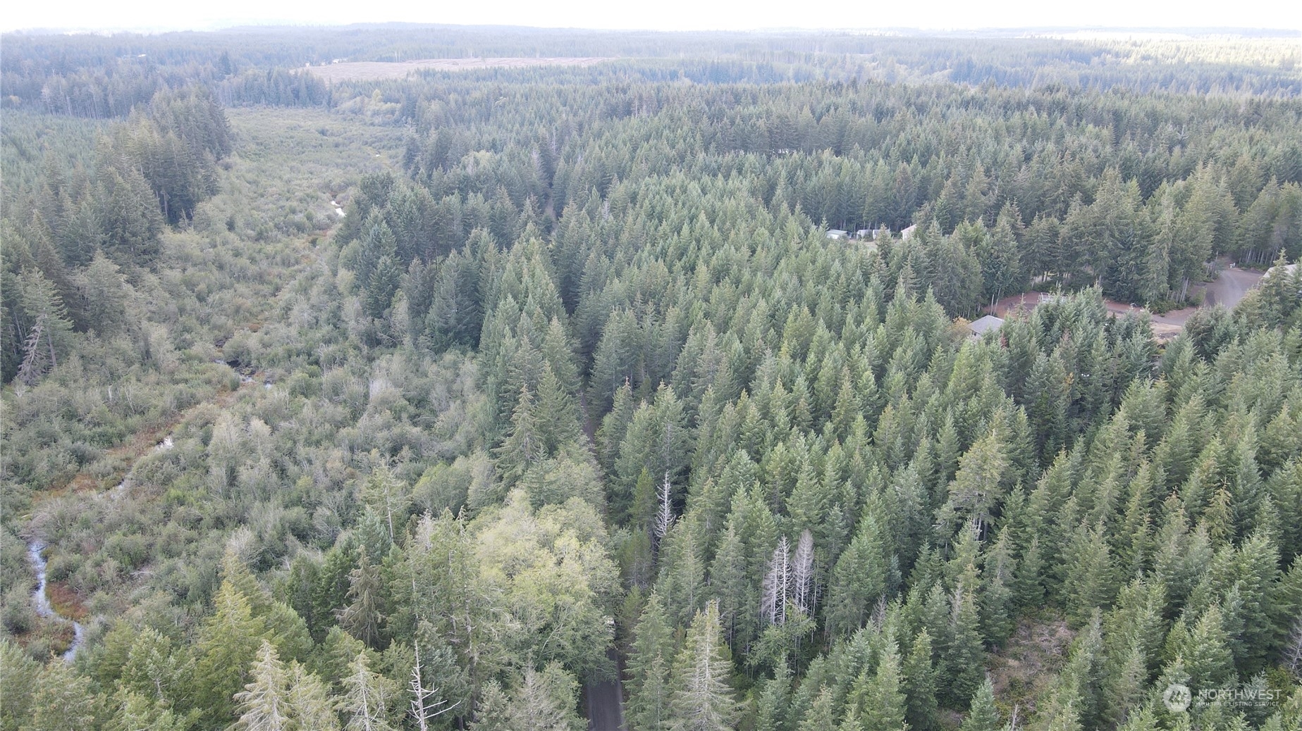 1400 East Jensen Road Shelton, WA 98584 - Photo 4 of 9