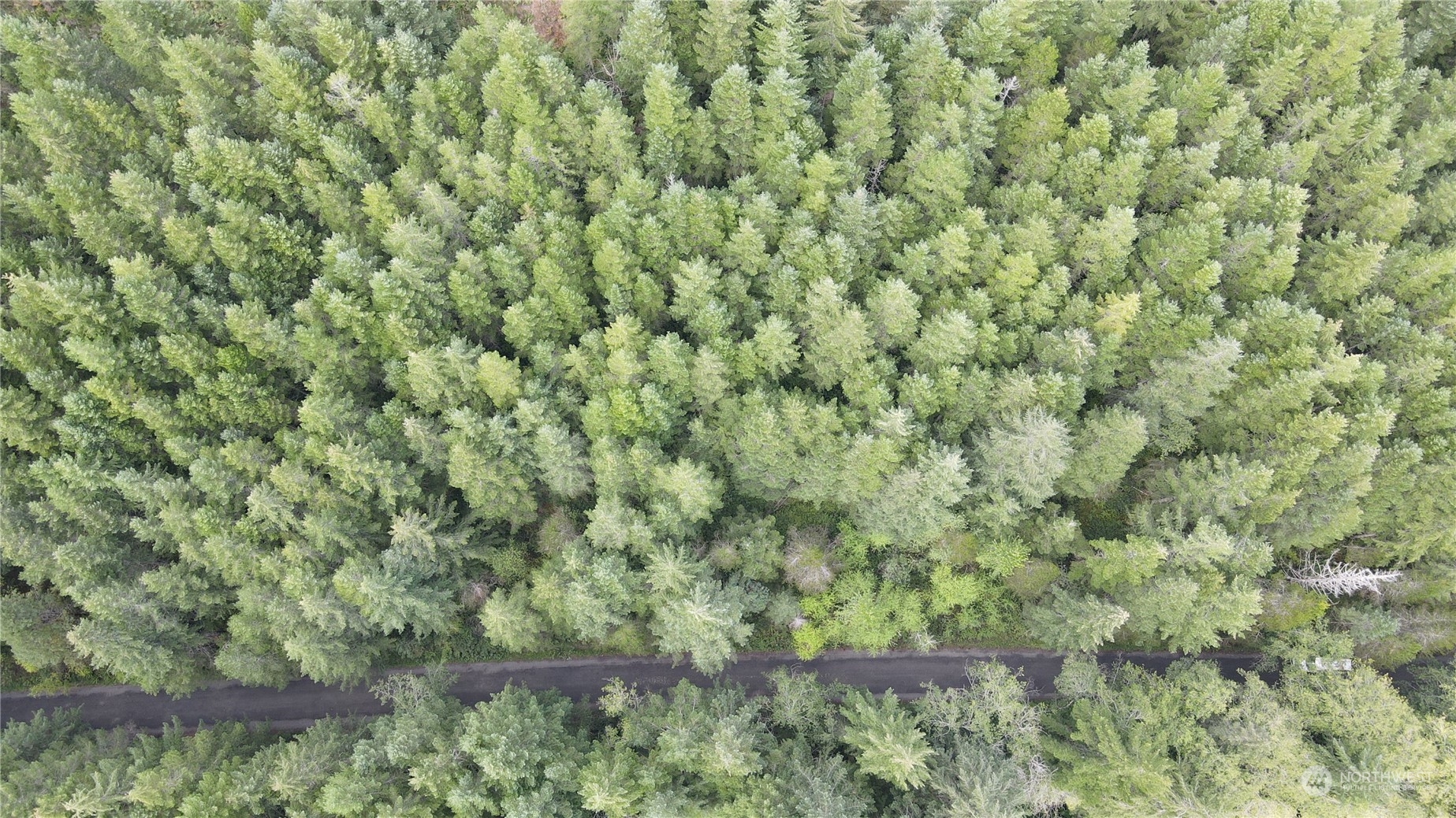 1400 East Jensen Road Shelton, WA 98584 - Photo 7 of 9