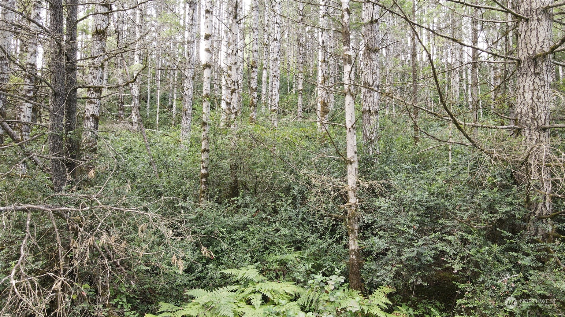 1400 East Jensen Road Shelton, WA 98584 - Photo 8 of 9