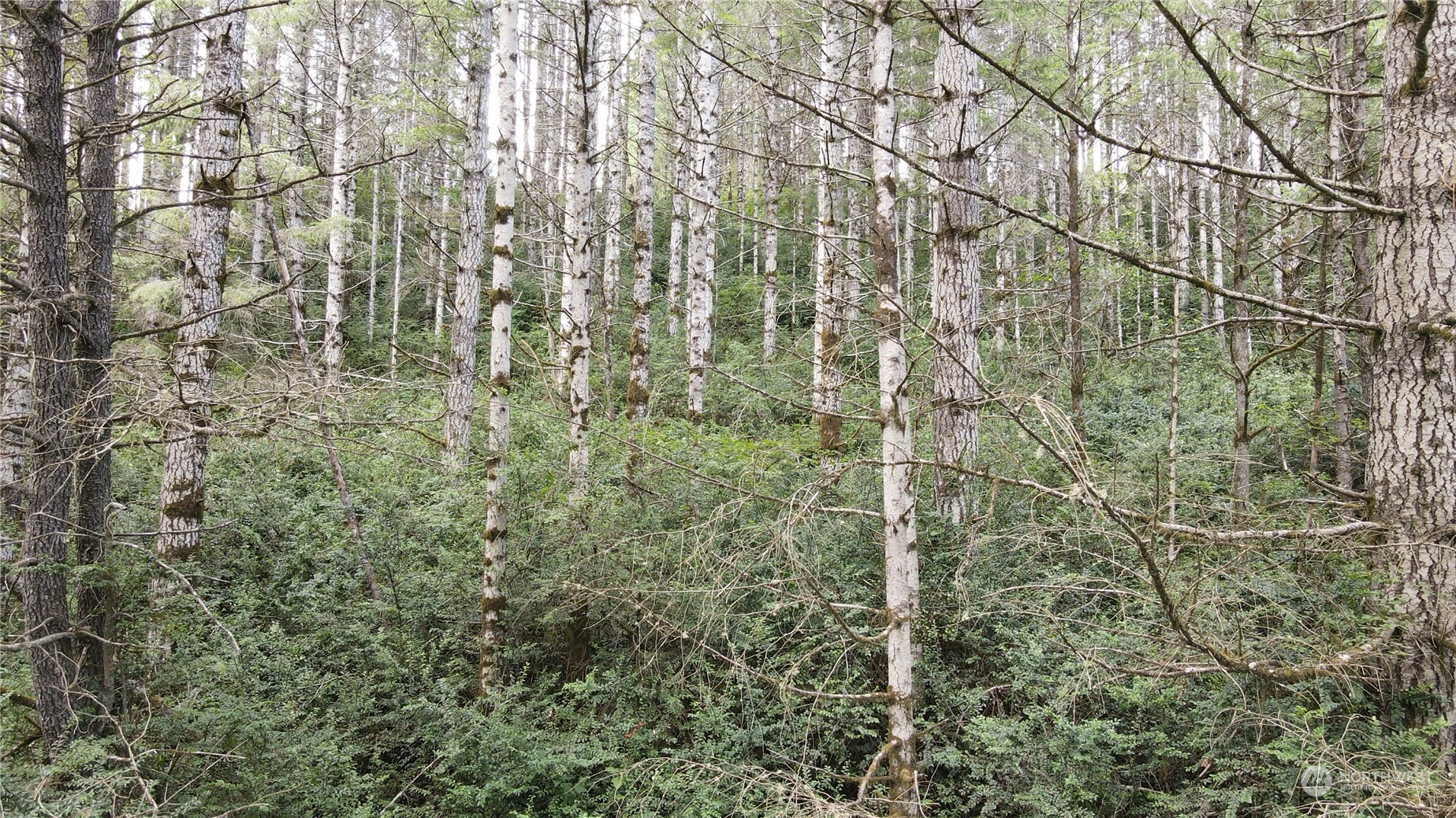 1400 East Jensen Road Shelton, WA 98584 - Photo 9 of 9