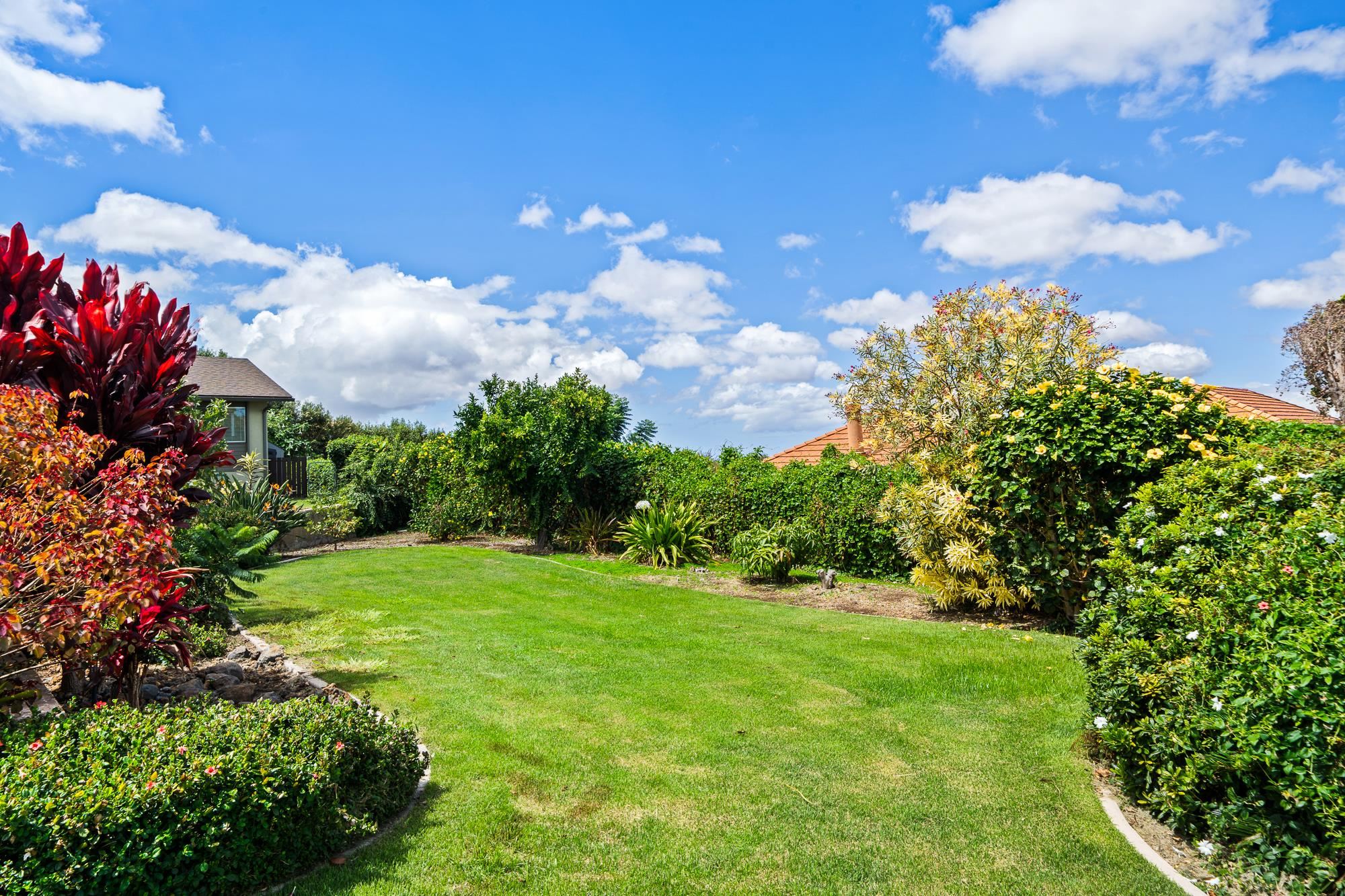 84 Mano Drive Kula, HI 96790 - Photo 24 of 25 a view of a flower in a garden
