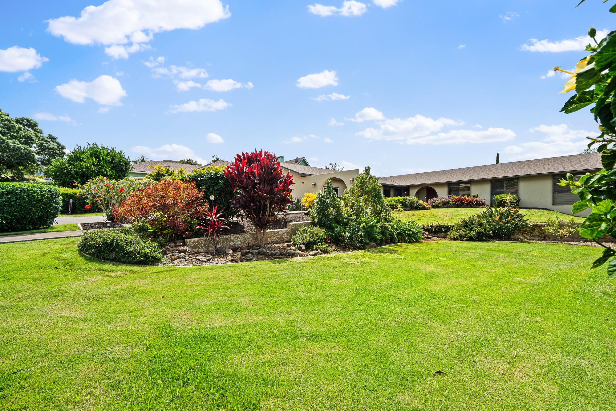 84 Mano Drive Kula, HI 96790 - Photo 25 of 25 a view of a house with a big yard potted plants and a large tree