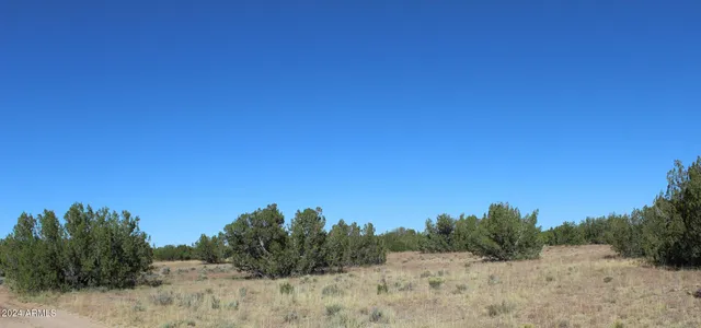 $14,947 | 75 County Road, St. Johns, AZ 85936