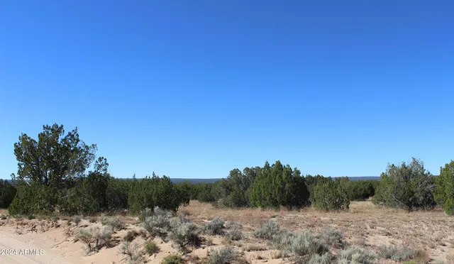 $14,947 | 75 County Road, St. Johns, AZ 85936