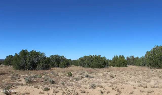 $14,947 | 75 County Road, St. Johns, AZ 85936