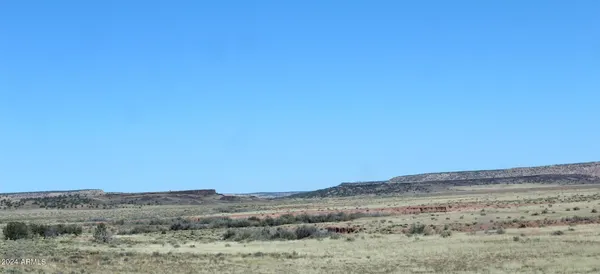 $14,947 | 75 County Road, St. Johns, AZ 85936