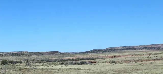 $14,947 | 75 County Road, St. Johns, AZ 85936