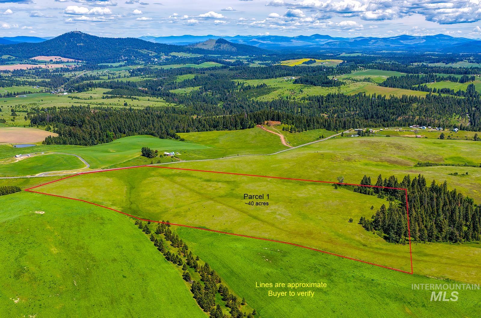 Tbd Tbd Johnson Road, Unit 1 Deary, ID 83823 - Photo 15 of 18