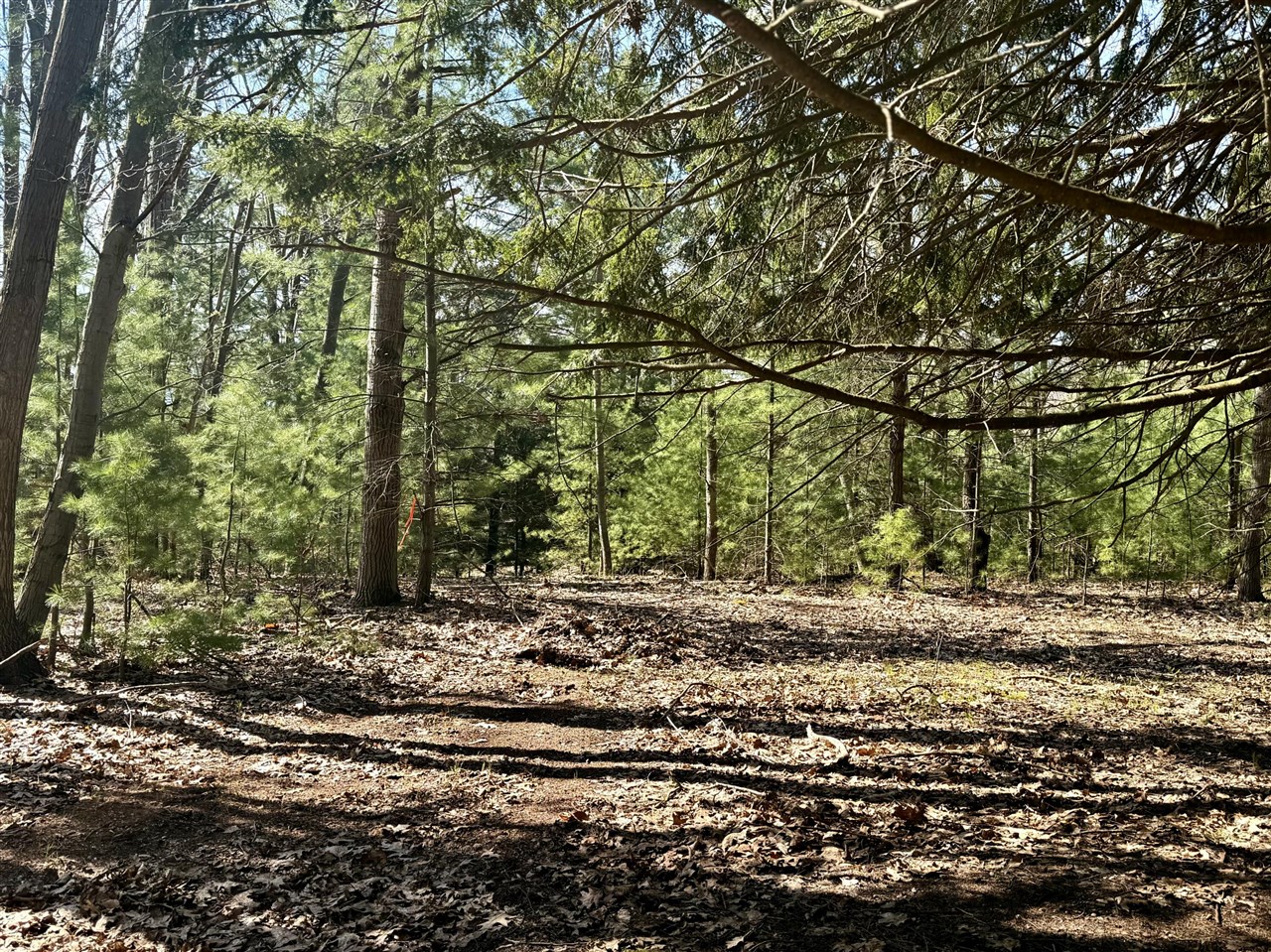 Vl South County Line Road Manistee, MI 49660 - Photo 21 of 23