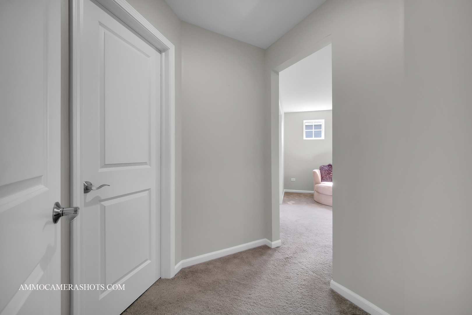 4324 Conifer Road Naperville, IL 60564 - Photo 26 of 43 Gallery Image 26
