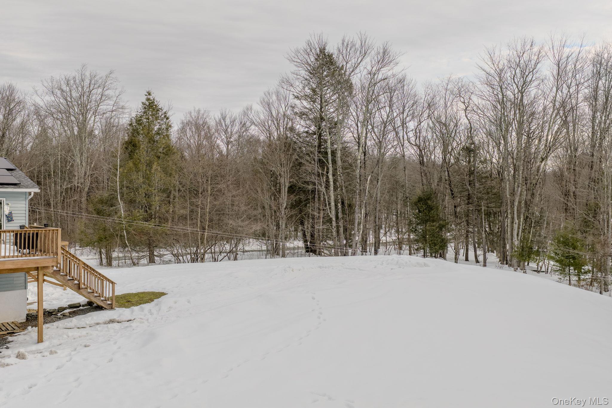 163 Cypert Road Woodbourne, NY 12788 - Photo 30 of 38