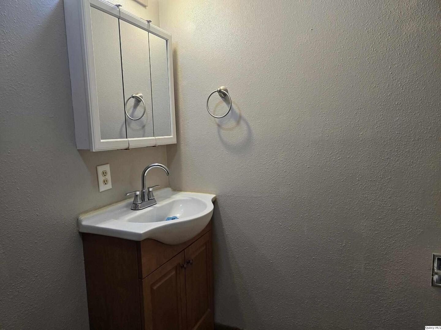 305 East 3rd Street Bowen, IL 62316 - Photo 20 of 32 a bathroom with a sink and mirror