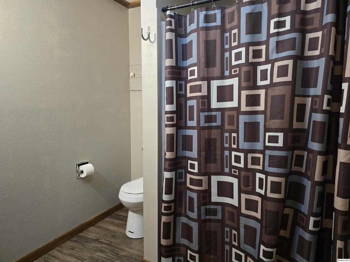 305 East 3rd Street Bowen, IL 62316 - Photo 21 of 32 a bathroom with a toilet and a shower