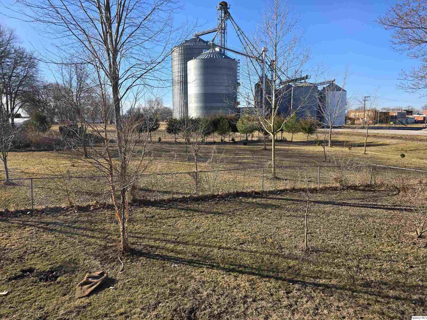 305 East 3rd Street Bowen, IL 62316 - Photo 30 of 32 a view of a houses with yard