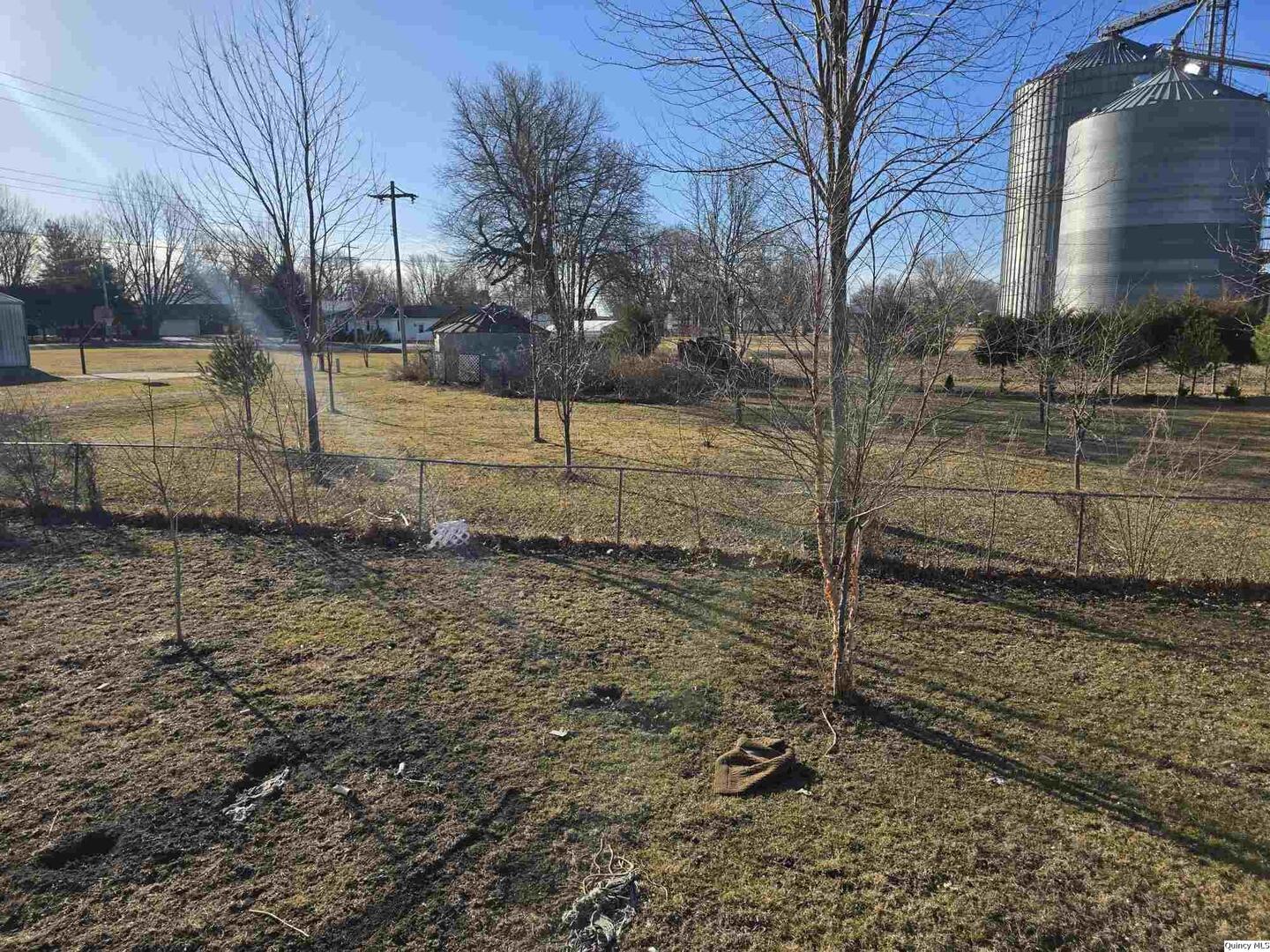 305 East 3rd Street Bowen, IL 62316 - Photo 31 of 32 a view of yard