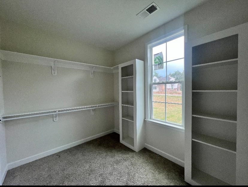 235 Drake Drive Collierville, TN 38017 - Photo 14 of 21