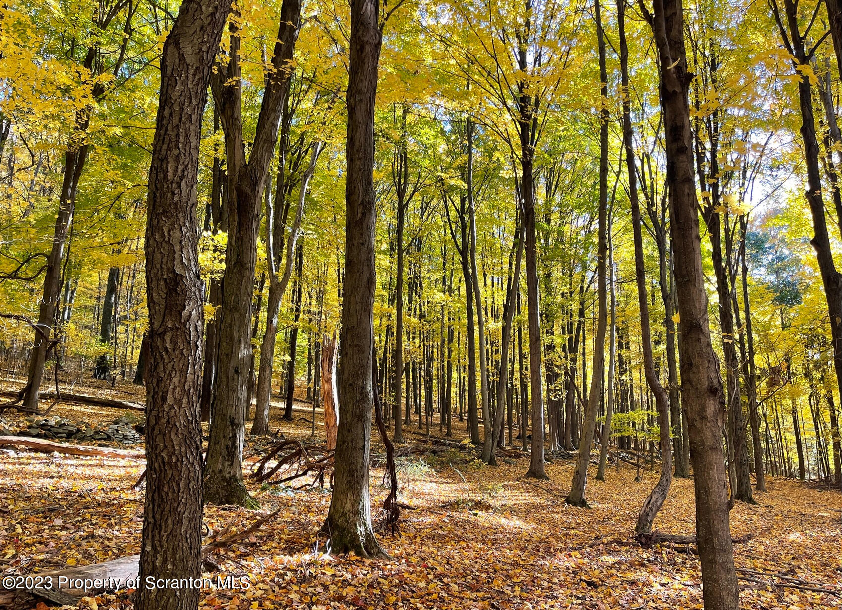 308 Fawn Hill Road Clarks Summit, PA 18411 - Photo 12 of 15 a view of under construction area