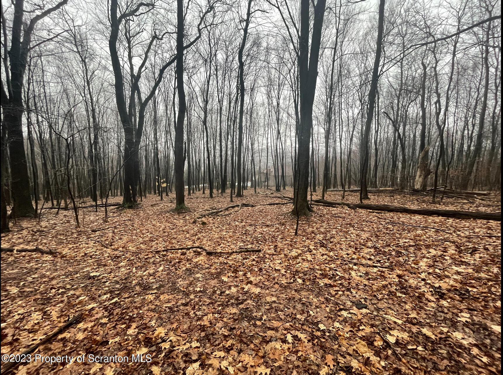 308 Fawn Hill Road Clarks Summit, PA 18411 - Photo 14 of 15 a view of outdoor space with deck and yard