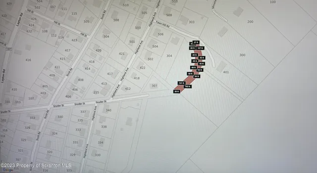 a close up of a plant