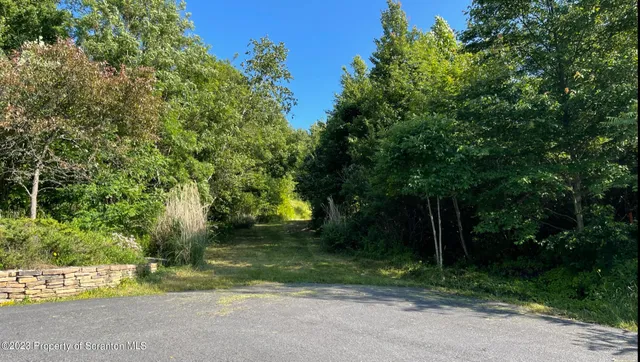 a view of outdoor space with trees