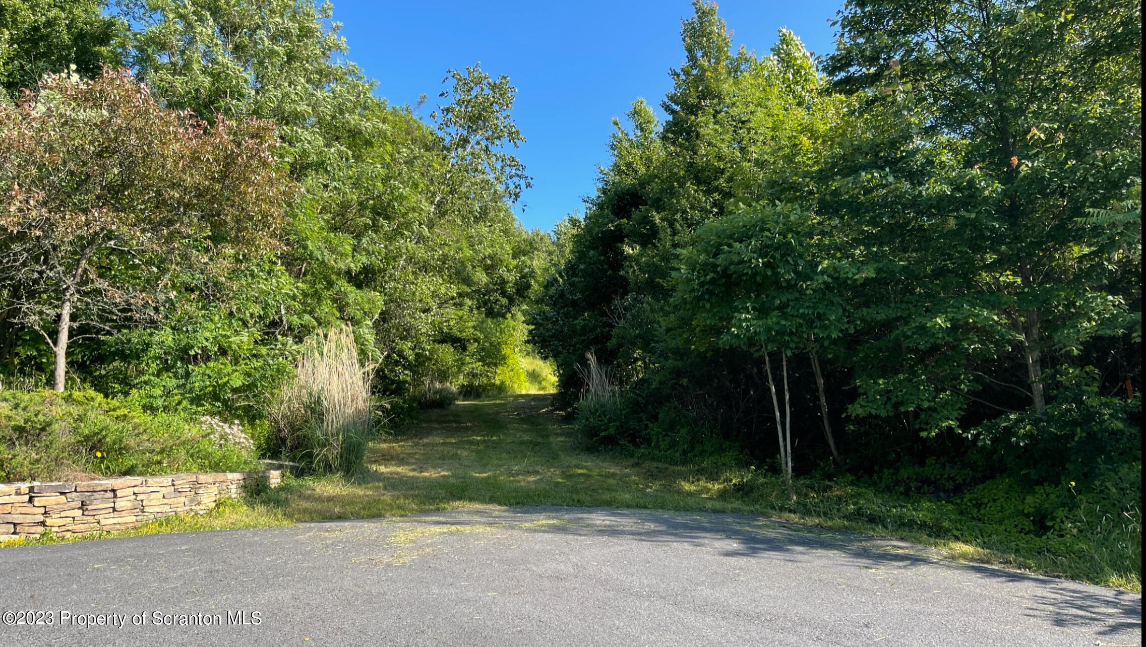 308 Fawn Hill Road Clarks Summit, PA 18411 - Photo 7 of 15 a view of backyard with green space