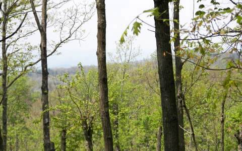 11 Bootlegger Road Morganton, GA 30560 - Photo 1 of 1 Main View