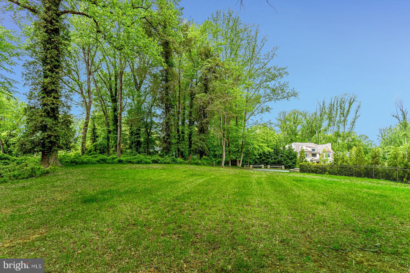 a view of a grassy field with trees