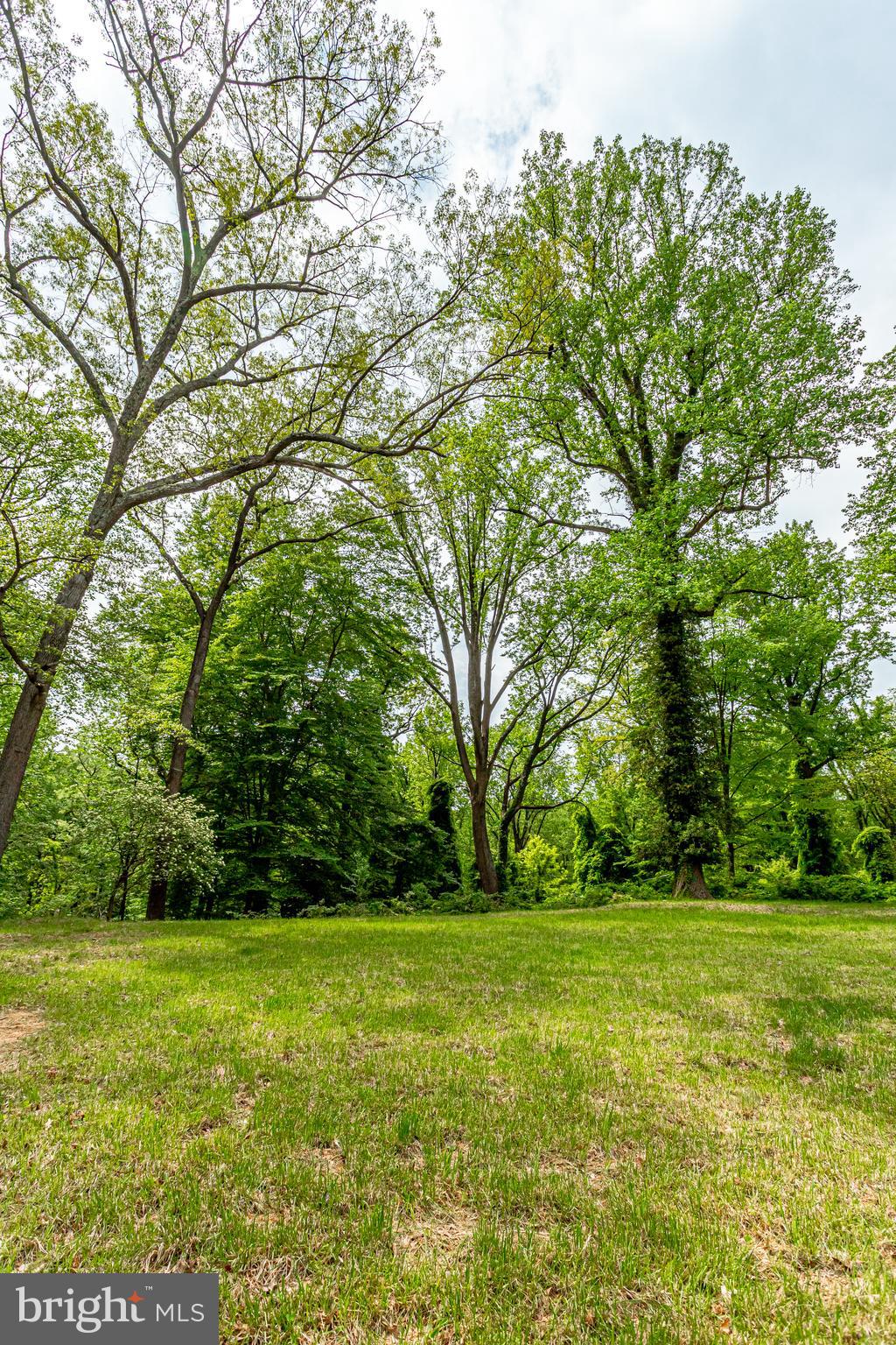 7716 Georgetown Pike McLean, VA 22102 - Photo 15 of 16