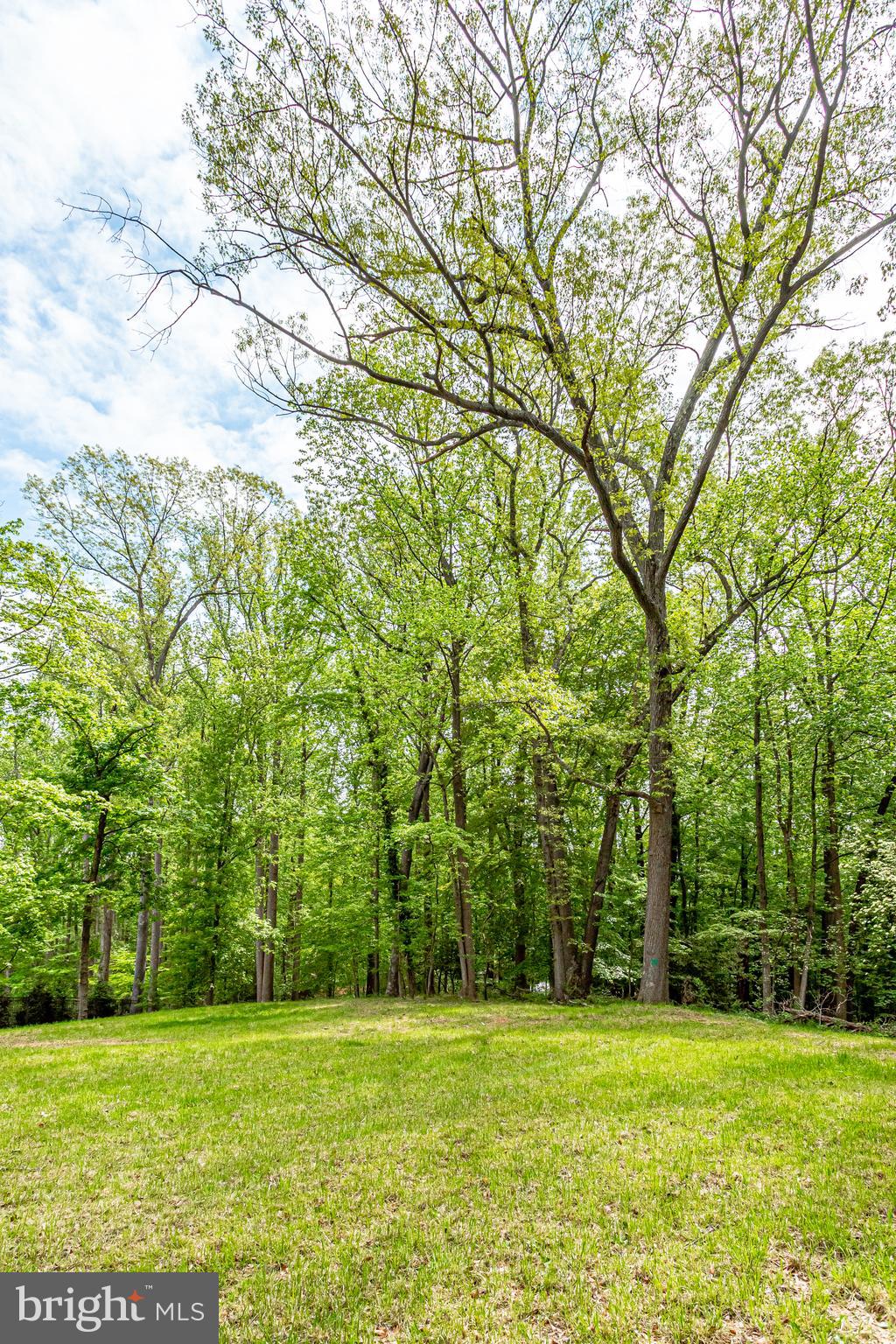 7716 Georgetown Pike McLean, VA 22102 - Photo 16 of 16