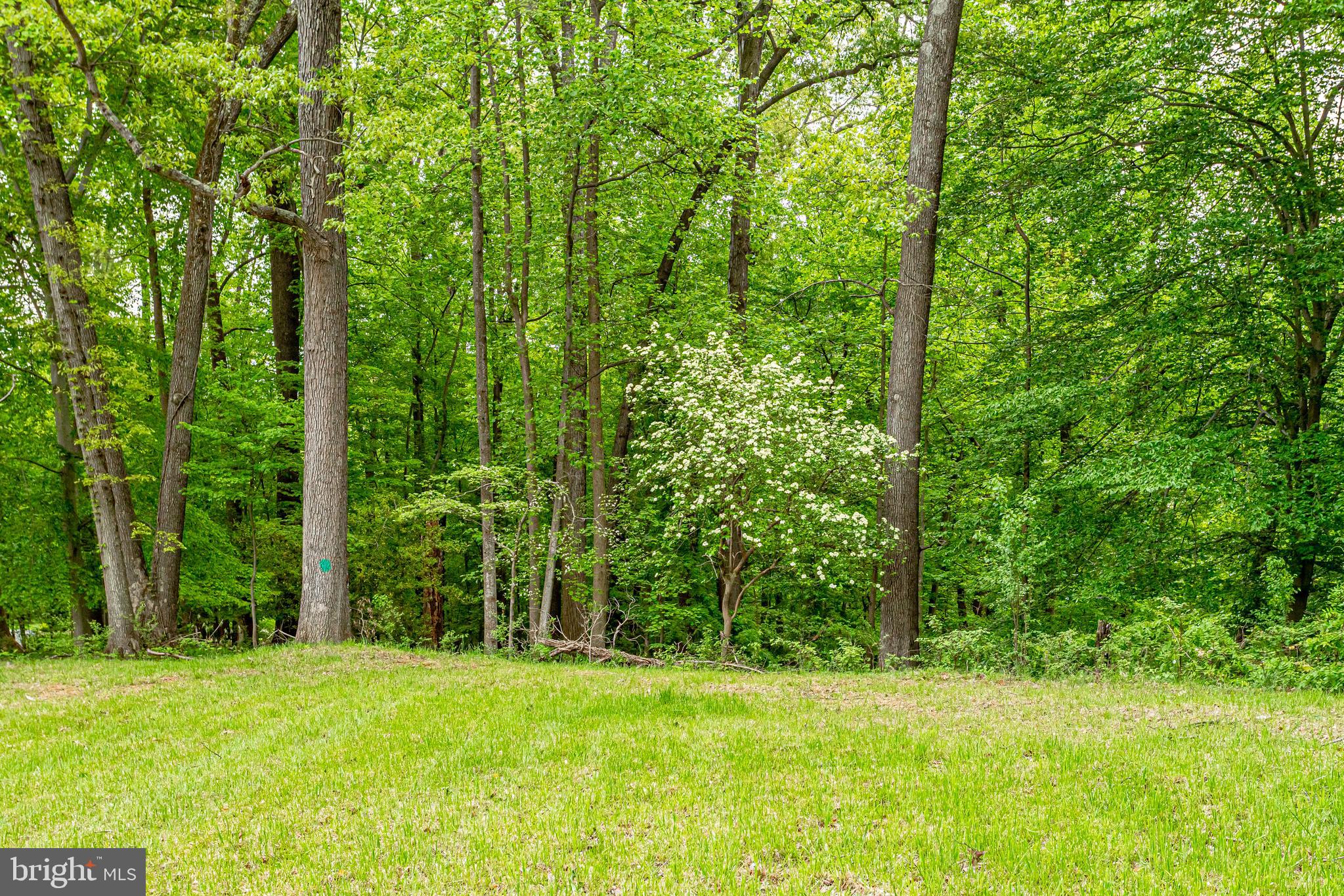 7716 Georgetown Pike McLean, VA 22102 - Photo 8 of 16