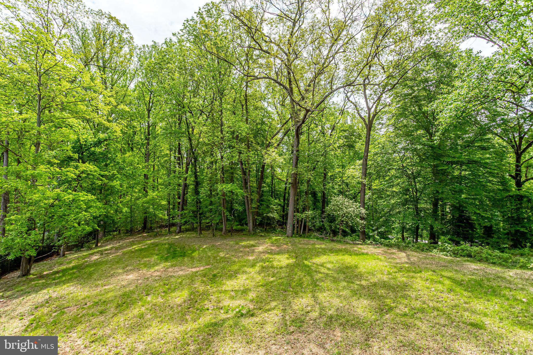 7716 Georgetown Pike McLean, VA 22102 - Photo 10 of 16