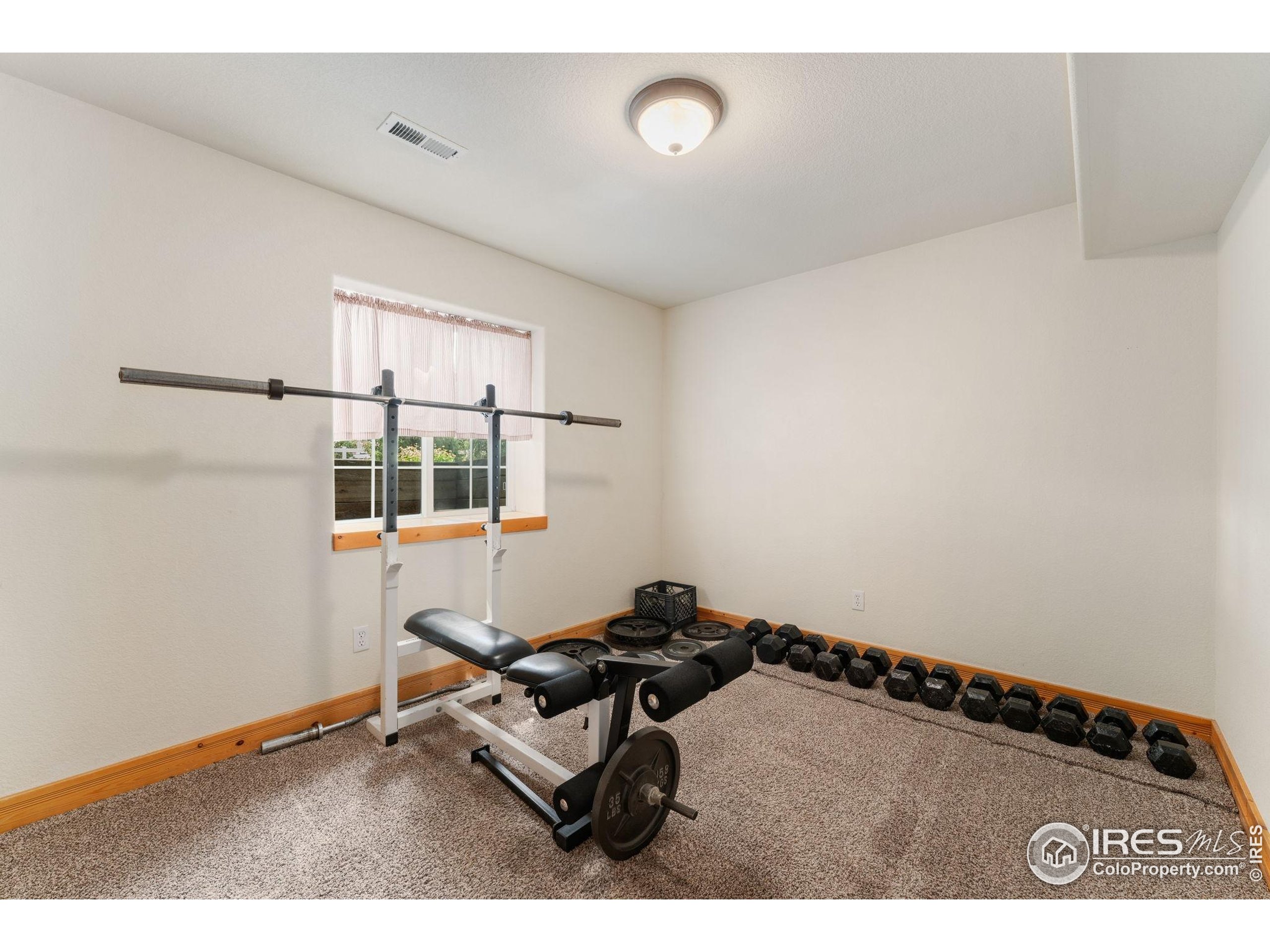 3302 Rinn Valley Drive Longmont, CO 80504 - Photo 30 of 45 a room with gym equipment and a window