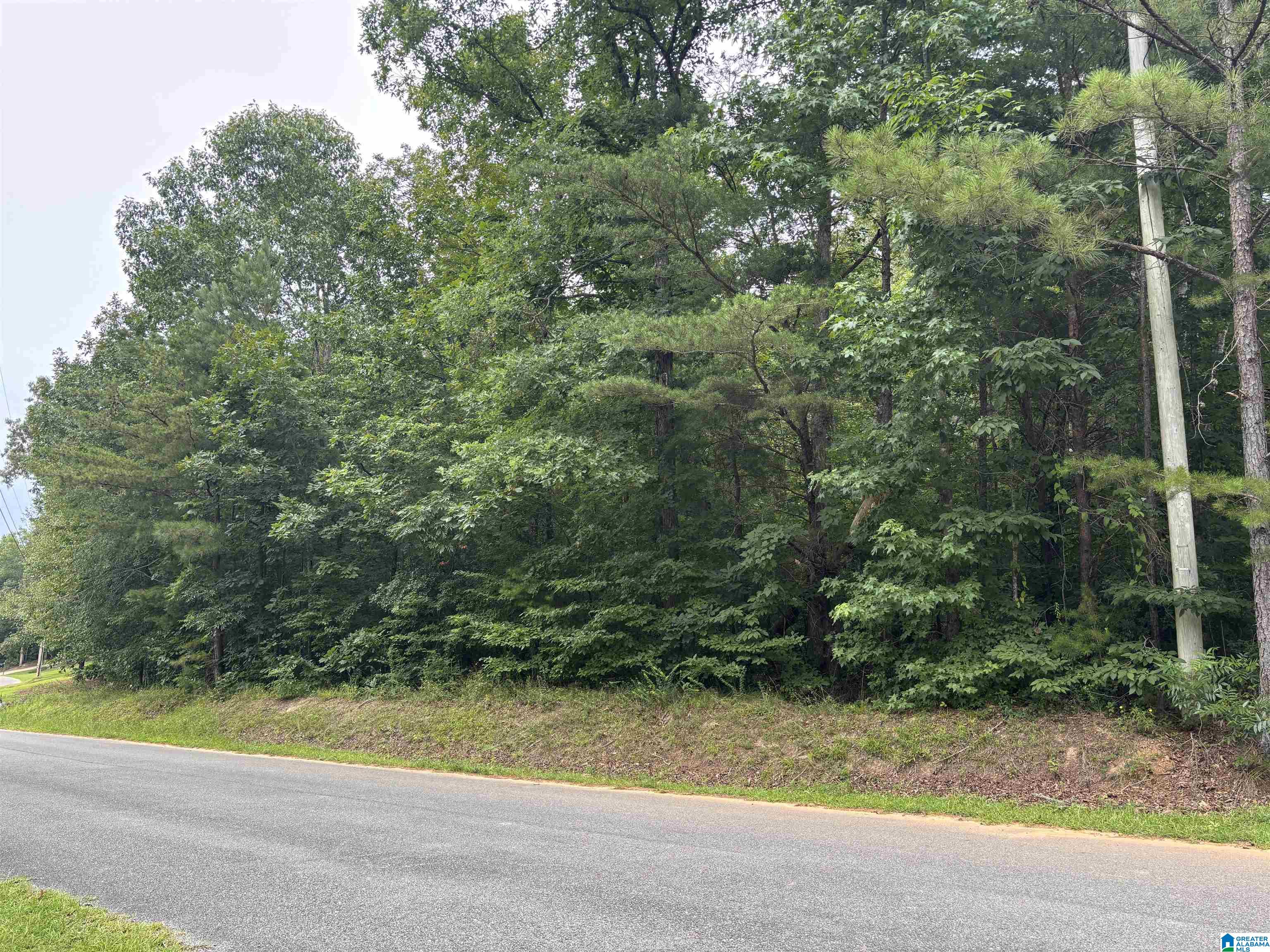 Hayfield Loop Dora, AL 35062 - Photo 1 of 1