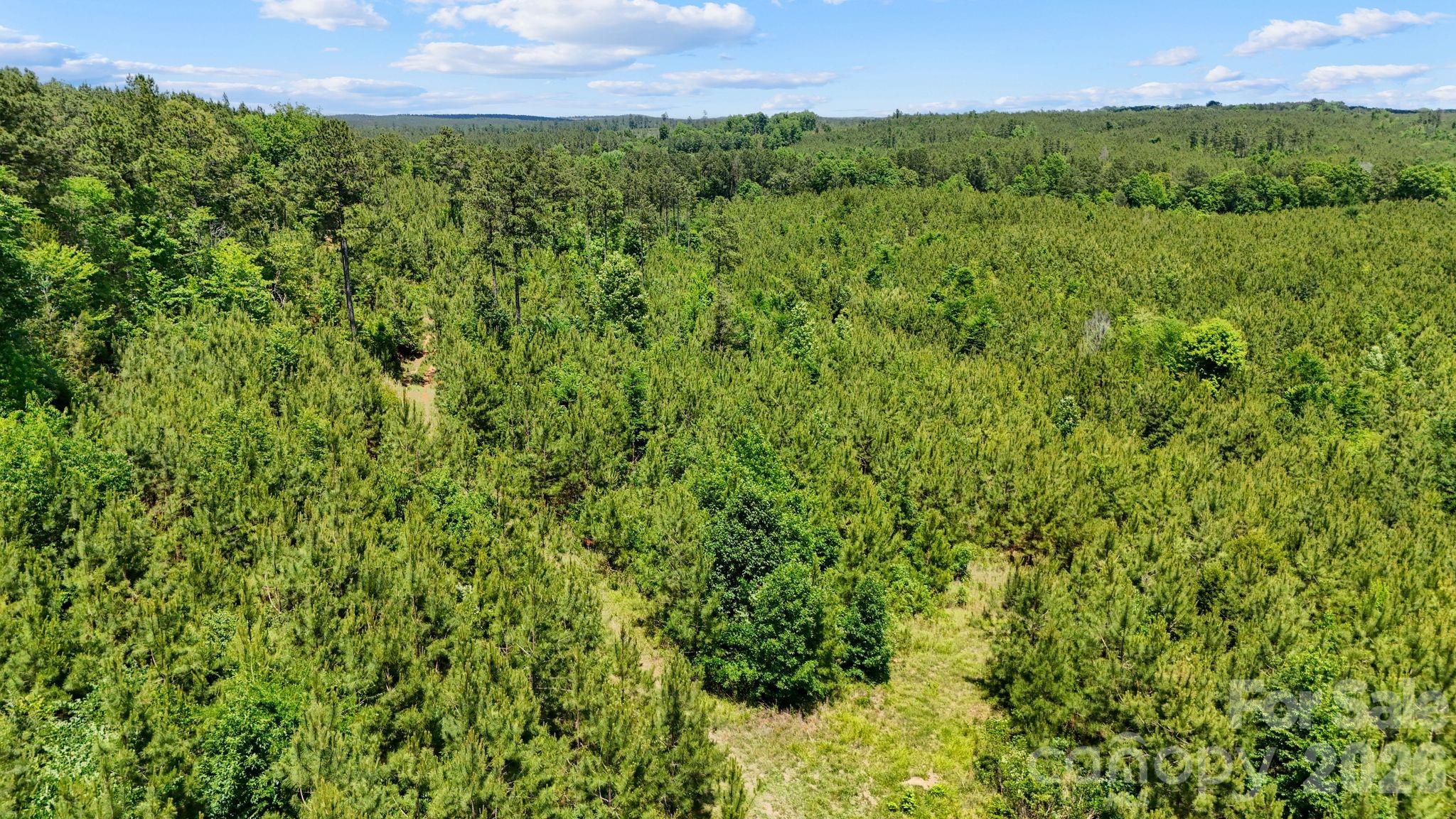 0 Cool Branch Road, Unit 1 Carlisle, SC 29031 - Photo 16 of 45 Gallery Image 16