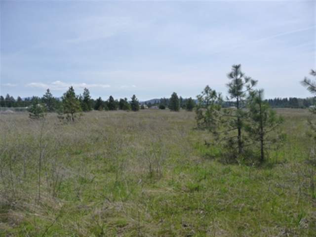 Xx East Bridges Road Elk, WA 99009 - Photo 1 of 1