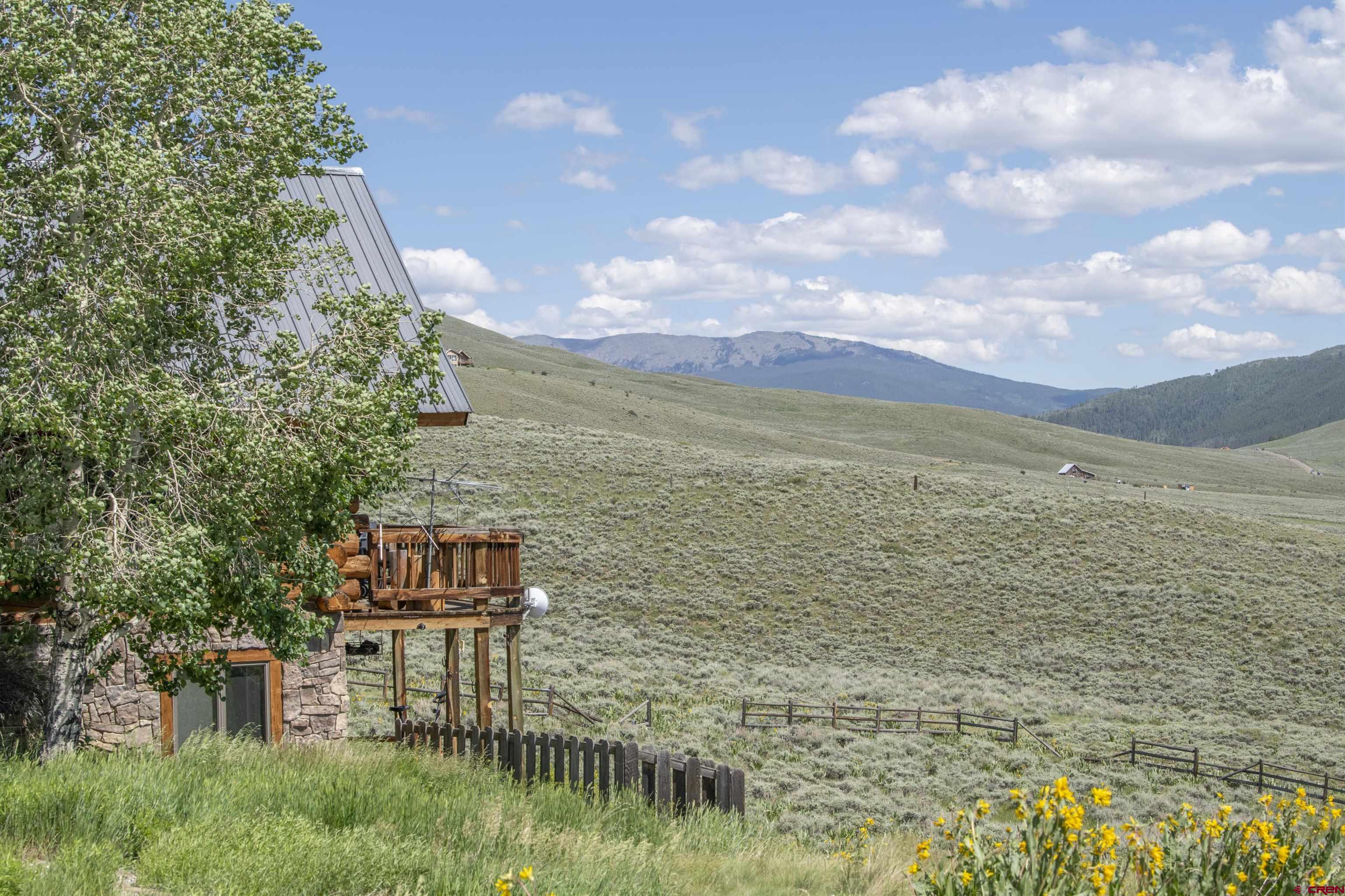 1 Renegade Road Almont, CO 81210 - Photo 25 of 34 Gallery Image 25